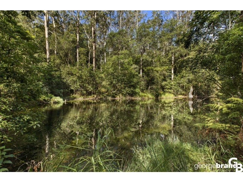 186  Dajani Drive, Macmasters Beach NSW 2251