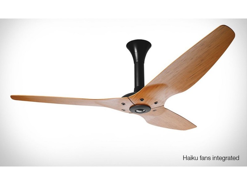 3 Fiona Street, Point Clare NSW 2250