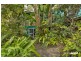 486 The Scenic Road, Macmasters Beach NSW 2251