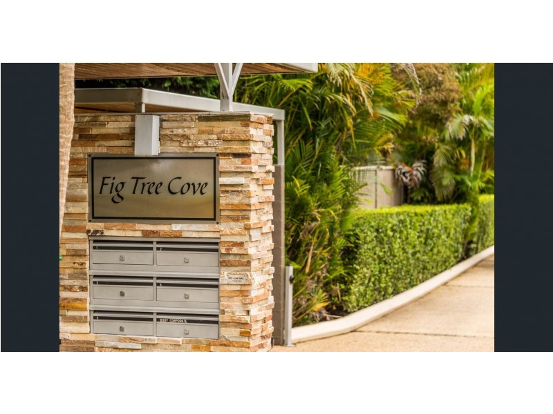 4/201 The Round Drive, Avoca Beach NSW 2251
