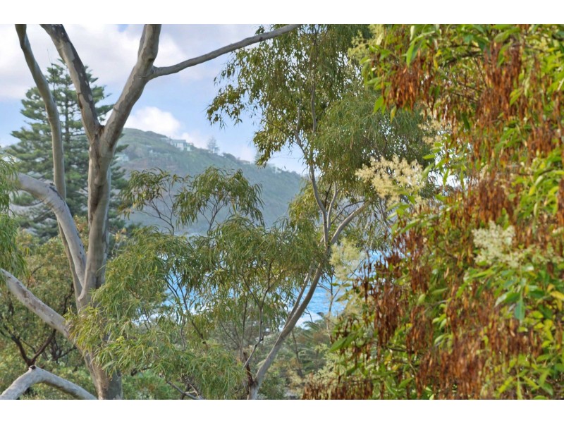 1/49 Avoca Drive, Avoca Beach NSW 2251