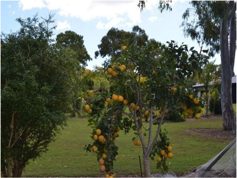 49 Bells Road, Rodds Bay QLD 4678