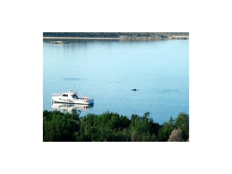 4 Pot Boil Road, Flinders Island TAS 7255