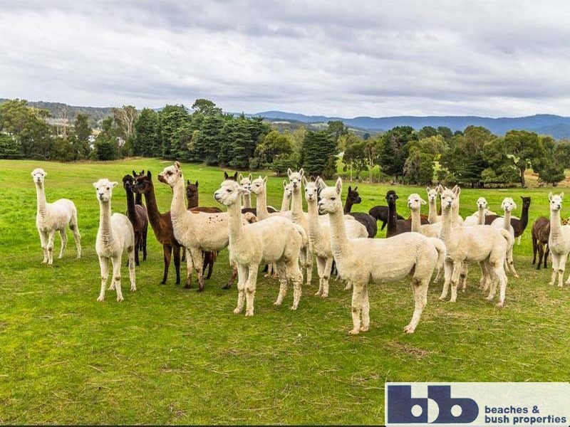 Clarence Point TAS 7270