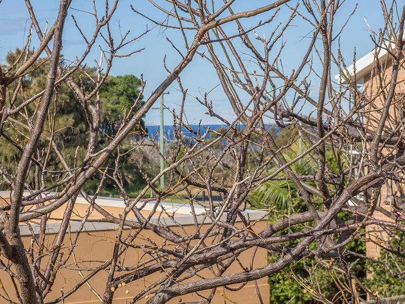 3/103 Deering Street, Ulladulla NSW 2539