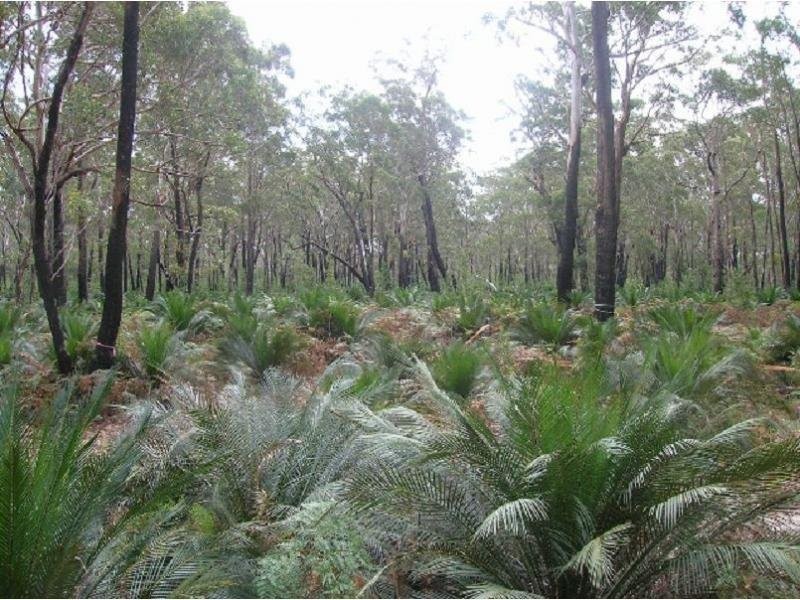 Batemans Bay NSW 2536