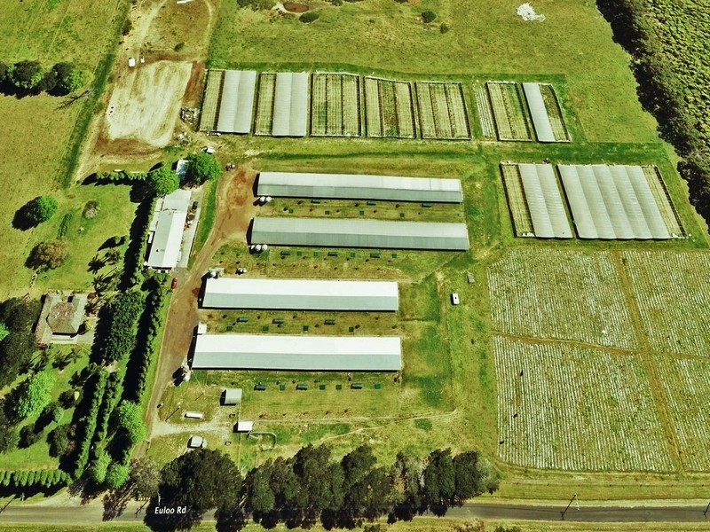 Peats Ridge NSW 2250