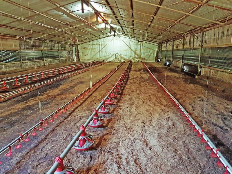 Peats Ridge NSW 2250