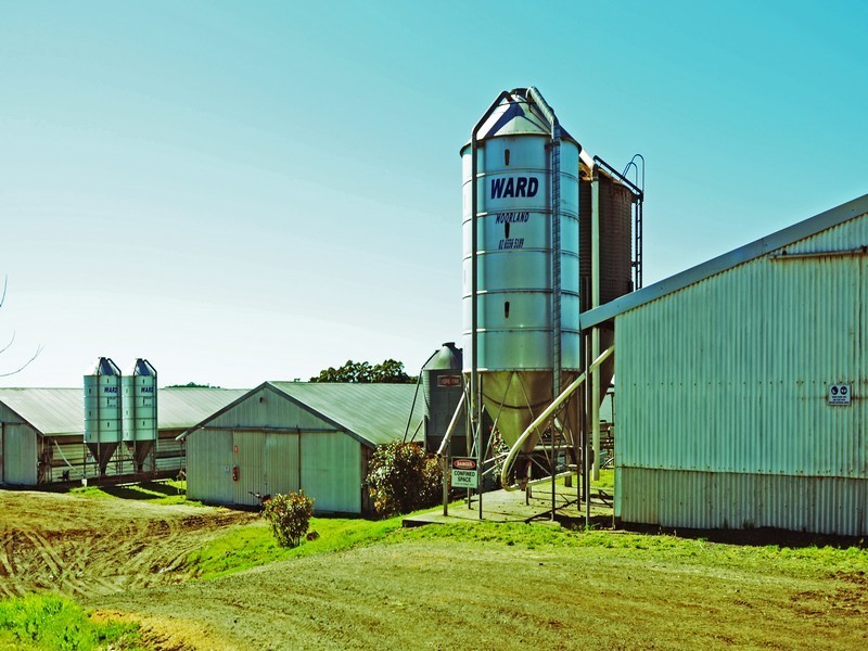 Peats Ridge NSW 2250