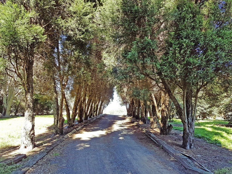 Peats Ridge NSW 2250