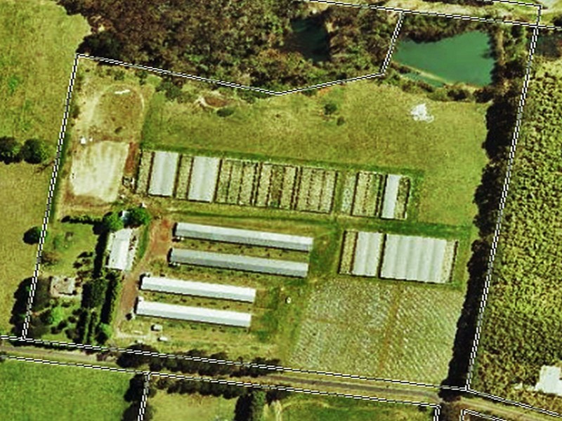 Peats Ridge NSW 2250