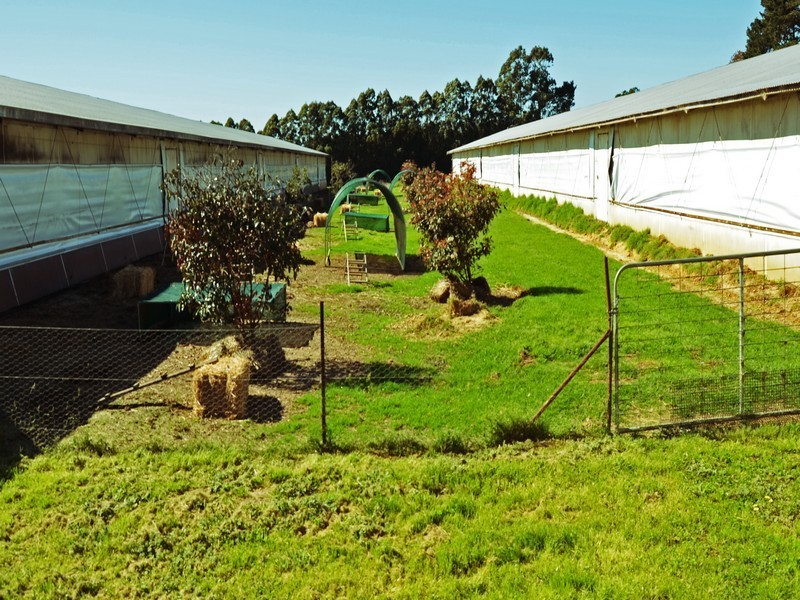 Peats Ridge NSW 2250