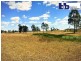 The Branch NSW 2425