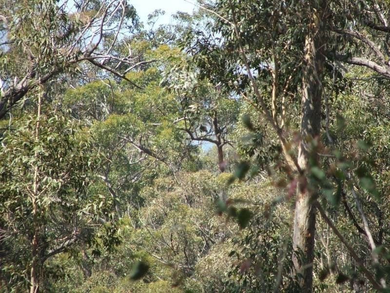 Batemans Bay NSW 2536