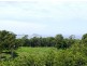 Long Beach NSW 2536