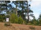 Lilli Pilli NSW 2536