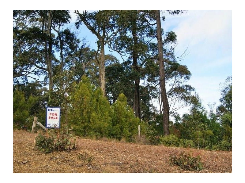 Lilli Pilli NSW 2536