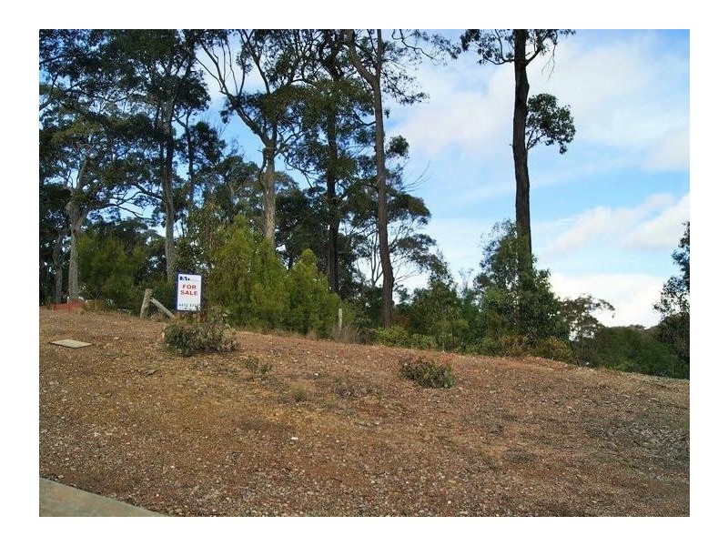 Lilli Pilli NSW 2536
