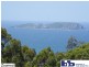 Surf Beach NSW 2536