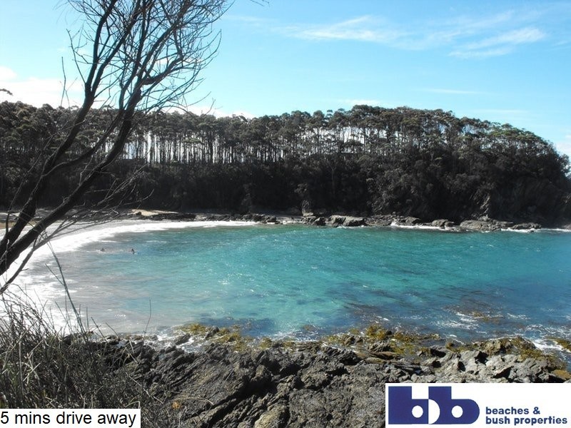 Lilli Pilli NSW 2536