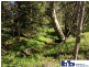 Moruya NSW 2537