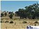 Lot 212 Reg Hailstone Way, Woodstock NSW 2793