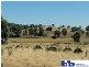 Lot 212 Reg Hailstone Way, Woodstock NSW 2793