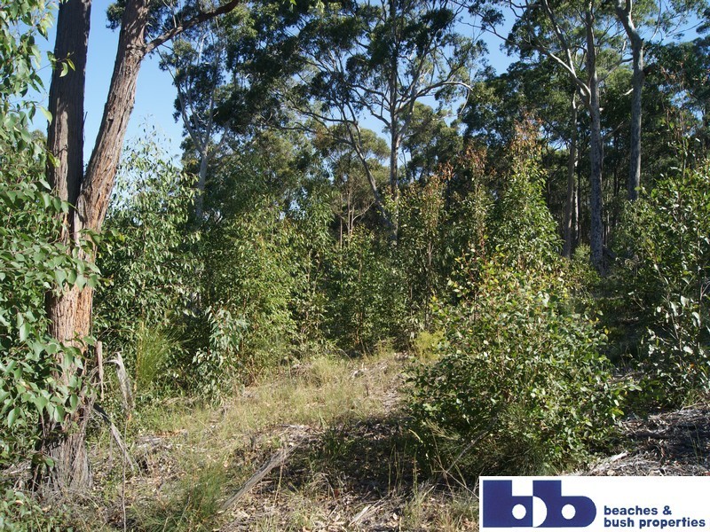 316 Bay Ridge Estate Stage 3, North Batemans Bay NSW 2536