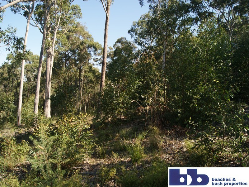 316 Bay Ridge Estate Stage 3, North Batemans Bay NSW 2536