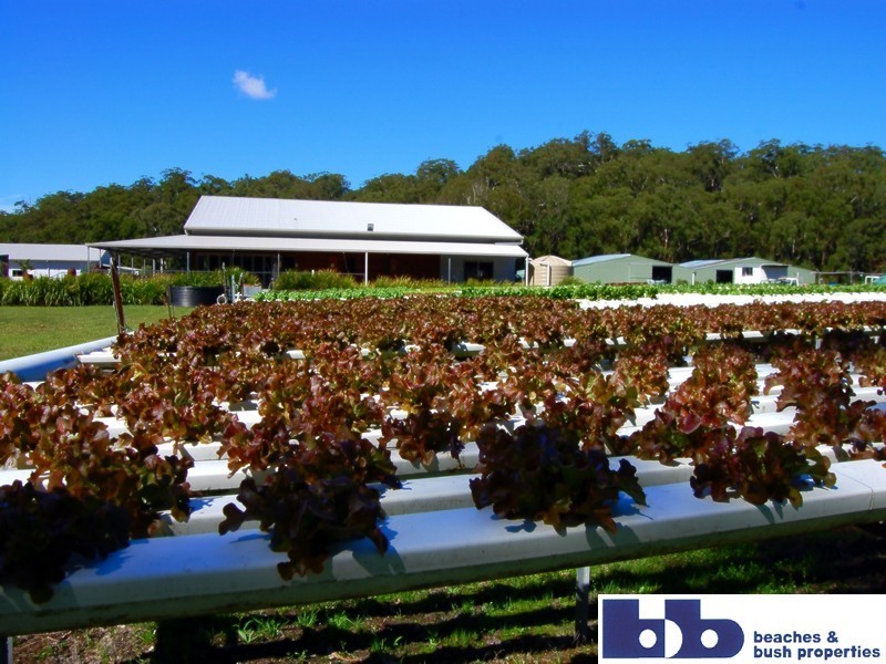 476C Marsh Road, Bobs Farm NSW 2316