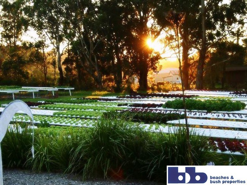476C Marsh Road, Bobs Farm NSW 2316