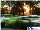 Bobs Farm NSW 2316