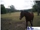 Batemans Bay NSW 2536