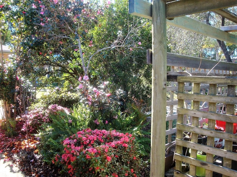 11 Cambridge Crescent, Broulee NSW 2537