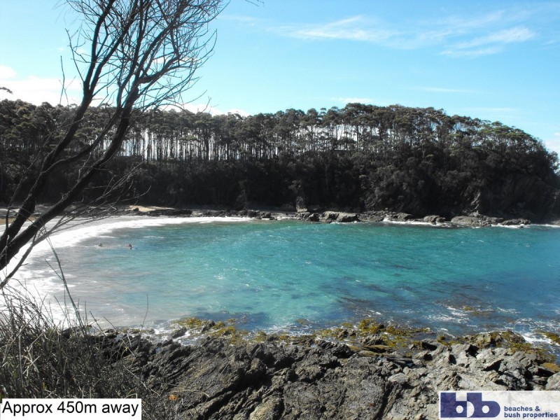 Lilli Pilli NSW 2536
