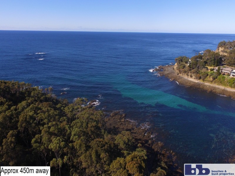 Lilli Pilli NSW 2536