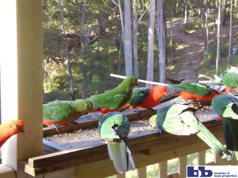 Batemans Bay NSW 2536