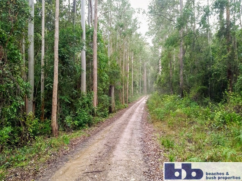 211 Saggers Creek Road, Stroud NSW 2425
