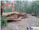 211 Saggers Creek Road, Stroud NSW 2425