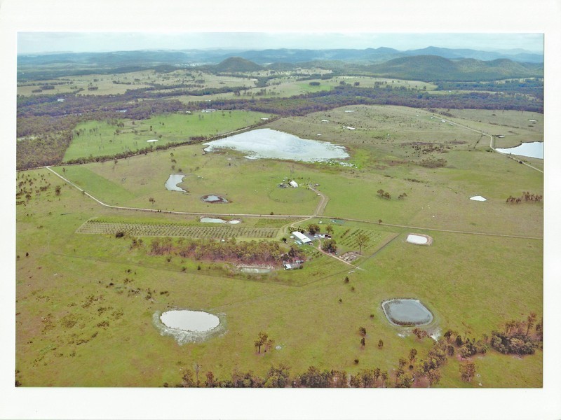 The Branch NSW 2425
