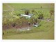 The Branch NSW 2425