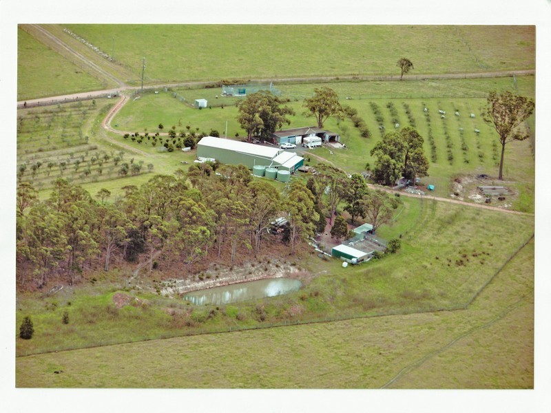 The Branch NSW 2425