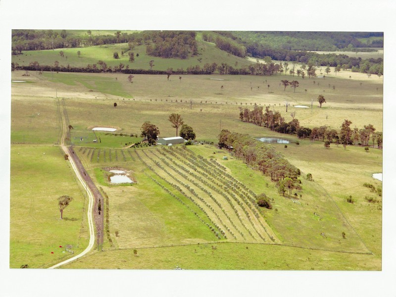 The Branch NSW 2425