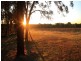 Pokolbin NSW 2320