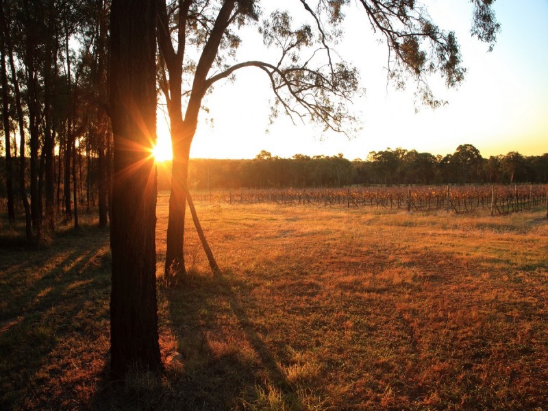 Pokolbin NSW 2320