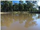 Pokolbin NSW 2320