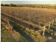 Pokolbin NSW 2320
