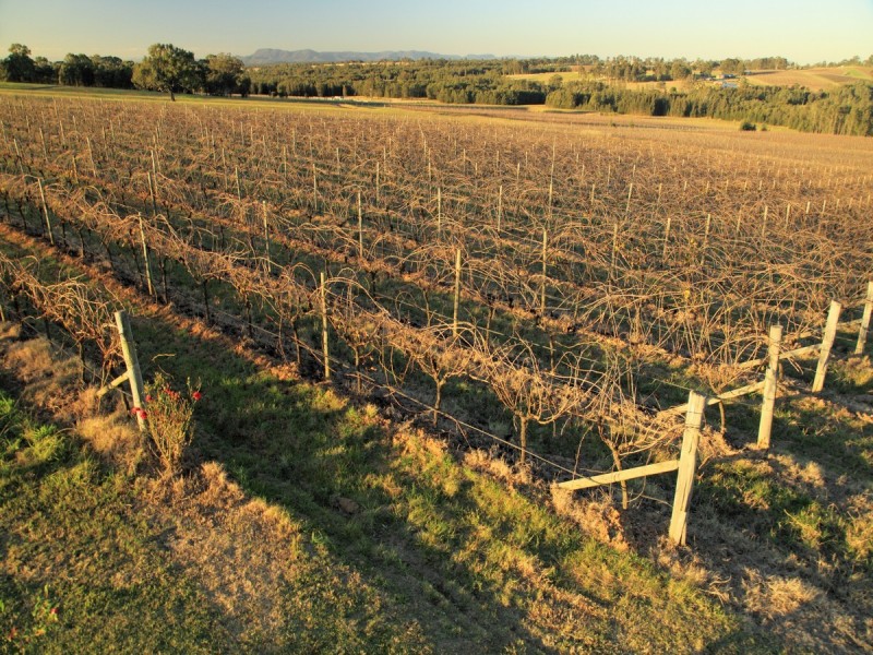 Pokolbin NSW 2320