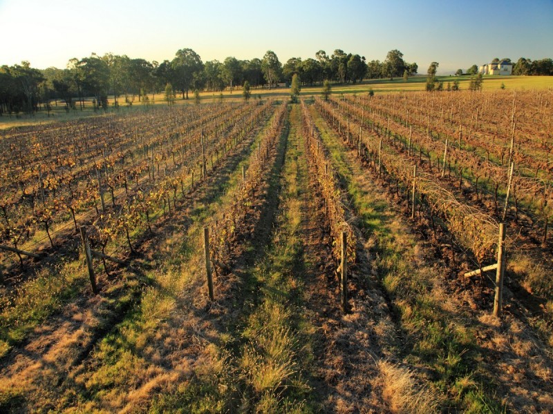 Pokolbin NSW 2320