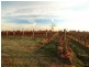Pokolbin NSW 2320